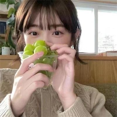 丹麦共居生活