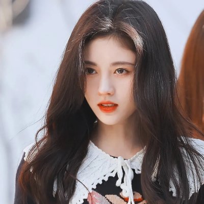 花蕊恋春风